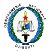 CF国家宪兵队 logo